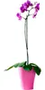 Merina brombeer glänzend, Ø 14cm Produktbild-Vorschau 4