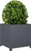 vidaXL Fioriera antracite 50x50x50 cm in acciaio Anteprima dell’immagine prodotto 3