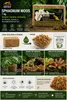 Sphagnum Moos 1kg – Premium Sphagnum Moos für Orchideen, Produktbild-Vorschau 12