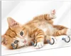 Wallario Schlüsselbrett aus Glas, Motiv: Süße Katze mit Produktbild-Vorschau 1