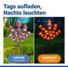 Maximex Solar LED Gartenstecker Orchideen, 2er Set, Produktbild-Vorschau 3
