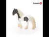 schleich FARM WORLD 13831, 3 rok / roky, Farm animals / Náhľad obrázku produktu 4