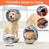 Collier pour chien Protection contre les fuites Collier de Voir les images du produit 3