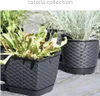 Prosperplast 7.5l Ratolla  Collection 25x25x21.9 Cm Produktbild-Vorschau 2