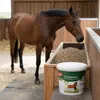 PANTO Pferdemineral mit Wisan-Lein® – 7,5 kg – Pellets mit Produktbild-Vorschau 3