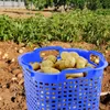 GreenLife Uni-Korb 3 Stück blau drehstapelbar platzsparend Produktbild-Vorschau 8