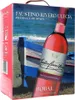 Faustino Rivero Ulecia Bobal Rosé 12% 5,0L BIB E Produktbild-Vorschau 2