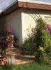 GardenAndPools Rosenbogen HOLLAND Lilie-Spitze Produktbild-Vorschau 9