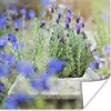 MuchoWow® Poster Nahaufnahme von Lavendel in einem Garten Produktbild-Vorschau 1