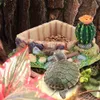 Reptilien-Haustierschildkröte, Schildkröte, Eidechse, Produktbild-Vorschau 4