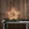 LED Stern Flower Star - hängend - D: 60cm - 200 warmweiße LED - inkl. Trafo - Outdoor - transparent Produktbild-Vorschau