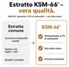 Ashwagandha KSM-66 capsules, sterk geconcentreerd – 600 mg Productafbeelding-voorbeeld 16