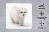 MuchoWow® Mauspad Mousepad Niedlicher kleiner Malteserhund Produktbild-Vorschau 2