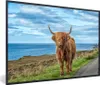 MuchoWow® MuchoWow® Gerahmtes Poster Schottische Produktbild-Vorschau 1