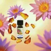 Lotus Amber Parfum Öl – 100 % reines Duftöl für Produktbild-Vorschau 2