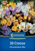 Kiepenkerl Botanische Krokus-Mischung Crocus chrysanthus 20 Produktbild-Vorschau 3
