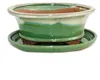 Bonsai-Schale mit Unterteller Gr. 8 Zoll - grün-beige - Produktbild-Vorschau 1