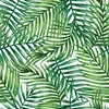 Coloray Fototapete 290x290 cm Latextapete Magicstick - Palm Produktbild-Vorschau 2