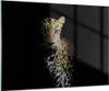 Bilder auf glas - Einteilig - Schattig Leopard Panther - Produktbild-Vorschau 1