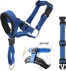 INF Muselière souple pour chien, aérée et confortable Bleu Voir les images du produit 5