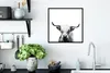 MuchoWow® Gerahmtes Poster Schottischer Highlander - Horn - Produktbild-Vorschau 3