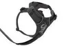 Ruffwear Front Range™ Hundegeschirr Produktbild-Vorschau 6