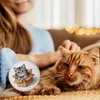 Katze im Karton Magnet für Katzenfans Produktbild-Vorschau 3