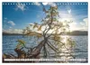 Traumland Eifel (Wandkalender 2027 DIN A4 quer), CALVENDO Produktbild-Vorschau 13