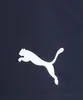 Pantalones cortos de entrenamiento Puma Teamrise para Vista previa de la imagen del producto 7