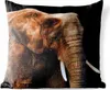 MuchoWow® Outdoor Kissen - Elefant - Tiere - Braun - 50x50 Produktbild-Vorschau 1