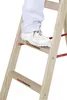 Euroline Holz Sprossenstehleiter mit Comfort-Breitsprossen, Produktbild-Vorschau 1