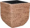 VIVANNO Pot de fleurs jacinthe d'eau ASIA cube, naturel Voir les images du produit 1
