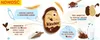 Kinder Kinderini 100 g - 4× 25 g knusprige Kinder‑Kekse mit Produktbild-Vorschau 3