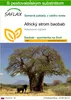 SAFLAX - Africký strom baobab - Adansonia digitata - 6 Náhľad obrázku produktu 1