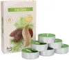 KOTARBAU® 6 swieczek zapachowych tea light o zapachu jodly Podgląd zdjęcia produktu 1