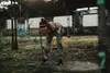 Sporttrend 24® Fitnessbänder/Widerstandsbänder in Produktbild-Vorschau 3