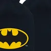 Batman Chaud Bouteille d'eau brodée Noir Noir One Size Voir les images du produit 2