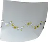 Näve Leuchten Glasdeckenleuchte Glasdeckenleuchte Produktbild-Vorschau 1