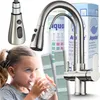 3-Wege Küchenarmatur NORDIC mit Wasserfilter-Anschluss, Produktbild-Vorschau 1