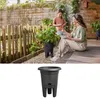 elho® Green Basics Erdbeertopf Living schwarz Ø 33 cm - Produktbild-Vorschau 10
