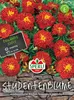 SPERLI Studentenblumensamen Carmen Tagetes patula 45 Produktbild-Vorschau 3