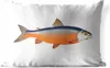 MuchoWow® Outdoor Kissen - Lachs - Fisch - Orange - 60x40 Produktbild-Vorschau 1