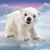 Folkmanis Polar Cub Bear, Handpuppe, Tier, 1 Stück(e) Produktbild-Vorschau 2