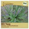 Samenliebe  Ysop Samen | Heilpflanze - winterhart & Produktbild-Vorschau 1
