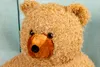 Close-up of a teddy bear's face. Voir les images du produit