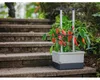 Gusta Garden CHARLY CHILY Standard samozavlažovací truhlík, Náhled obrázku produktu 18