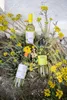 Grüner Veltliner Drei Junge Wilde NÖ QUW 2025 Produktbild-Vorschau 3
