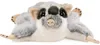 Carl Dick Flughörnchen, Gleithörnchen ca. 30cm, Plüschtier, Produktbild-Vorschau 2