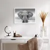 Poster - Poster ohne Rahmen - Elefant Afrika Tier - 70x50 Produktbild-Vorschau 5