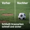 Substral Rasensamen Sport und Spiel, strapazierfähige Produktbild-Vorschau 7